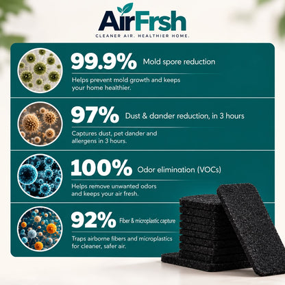 Airfrsh Ceiling Fan Filters